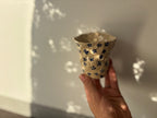 febrero